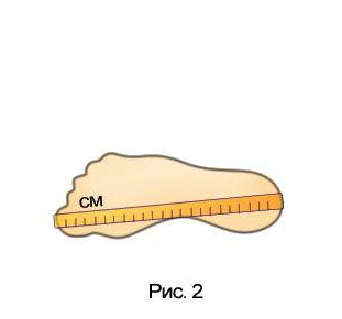 Рис. 2 - измерение длины стопы